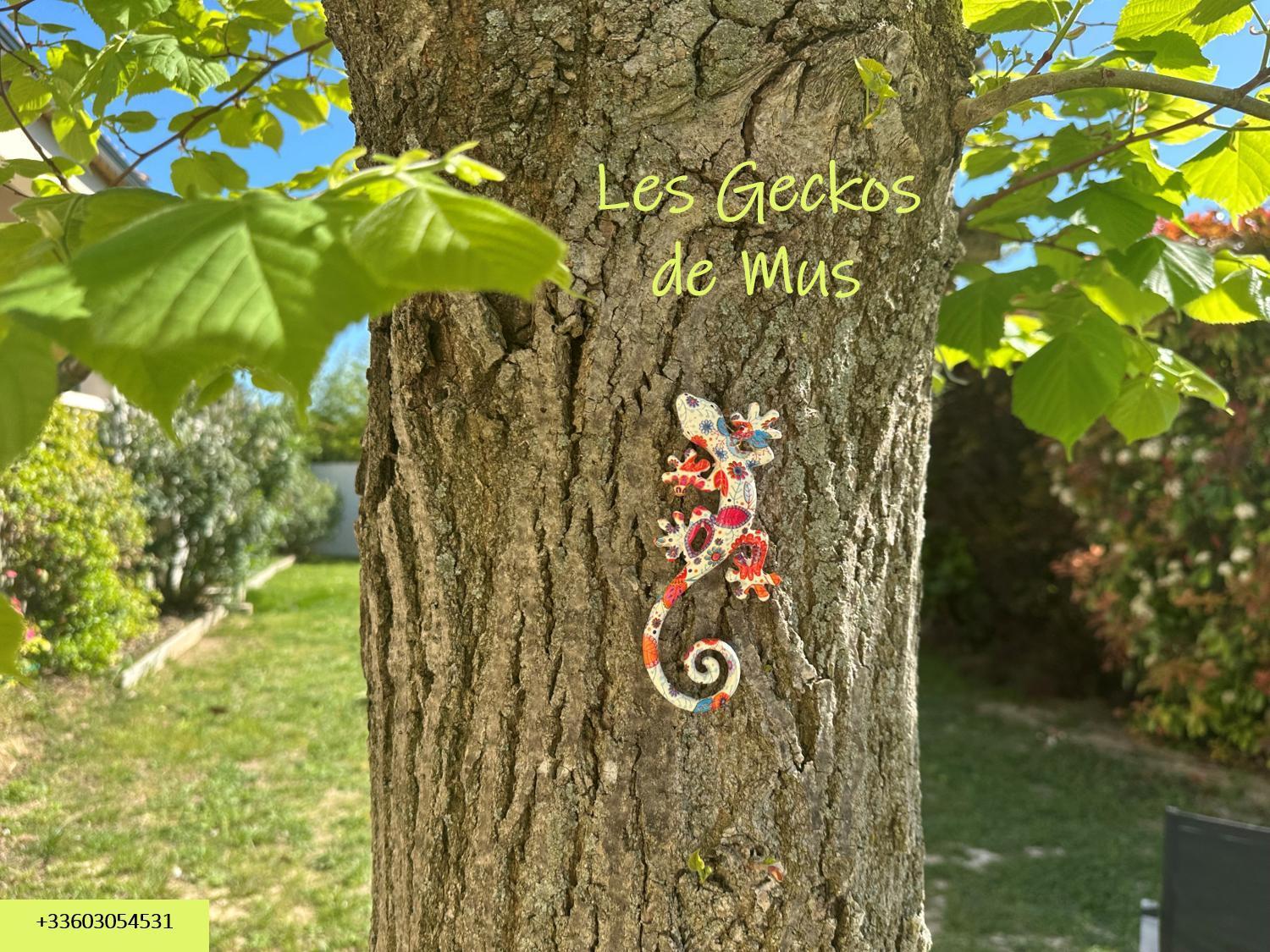 Les Geckos De Mus Διαμέρισμα Εξωτερικό φωτογραφία